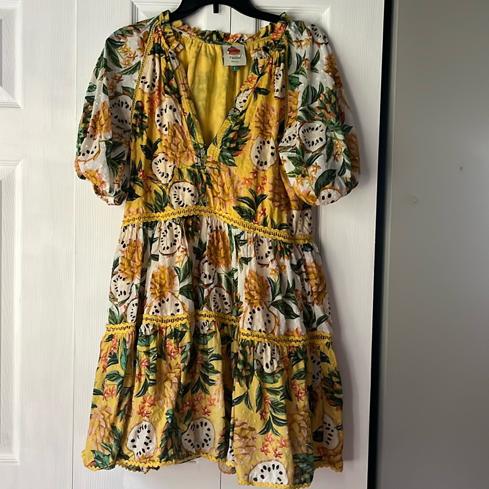 Farm Rio Biriba Dress